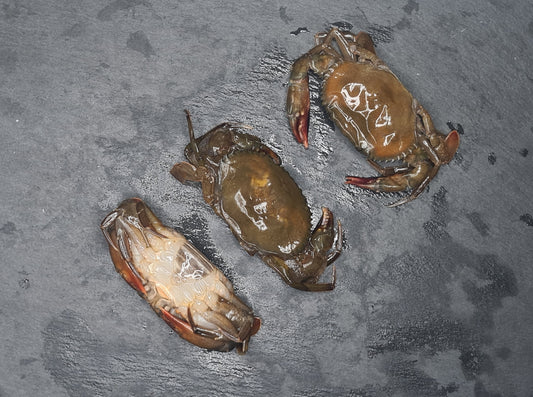 Soft Shell Crab 软壳蟹 x6pcs